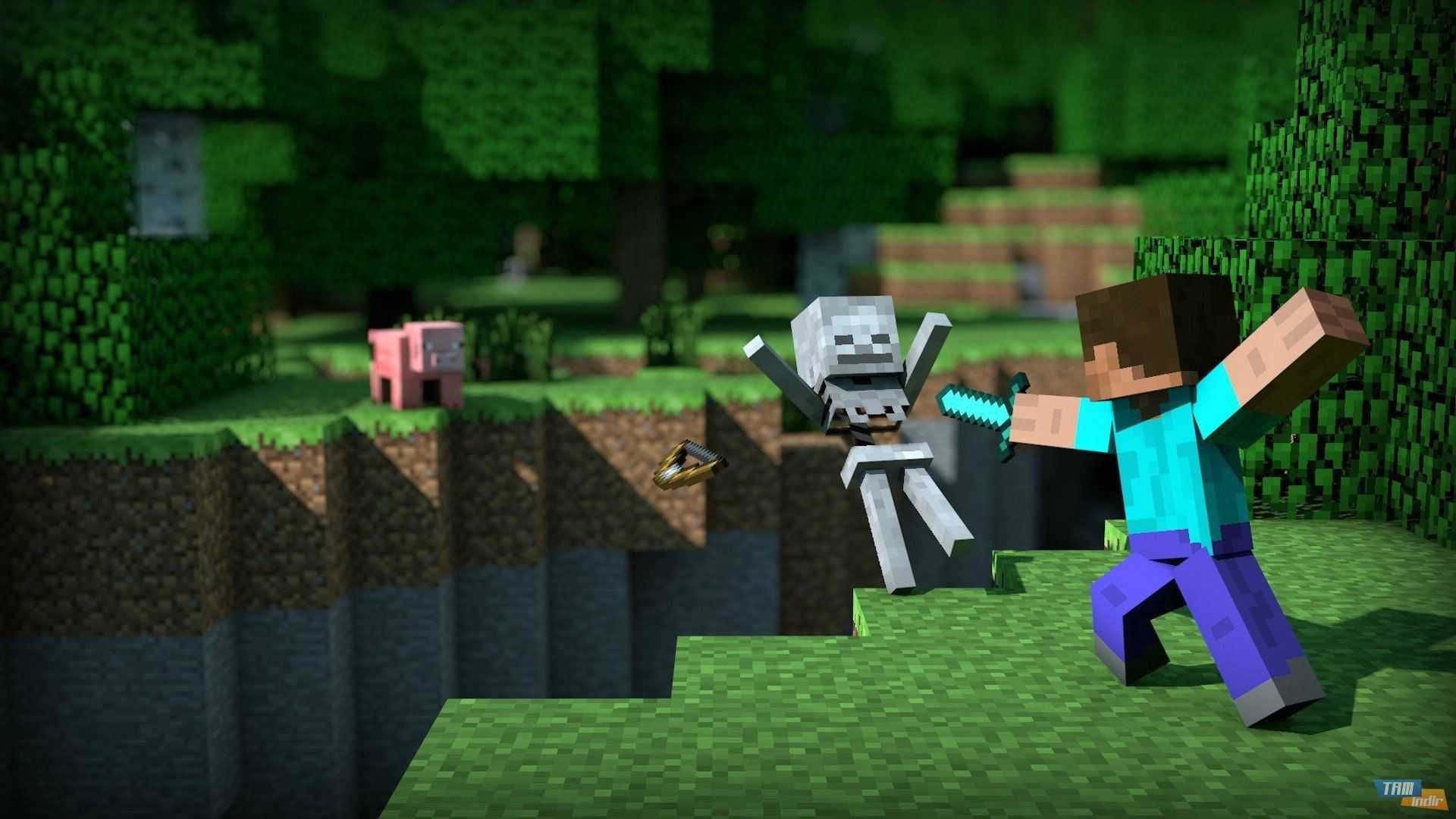 Minecraft 1.8 ile Gelen Yenilikler ve Çıkış Tarihi!