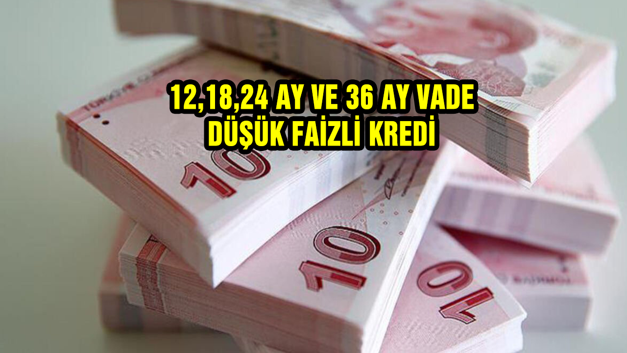 12 ay, 18 ay, 24 ay ve 36 ay vade seçenekleri ile beraber düşük faizli ihtiyaç kredisi vatandaşların yüzünü güldürüyor