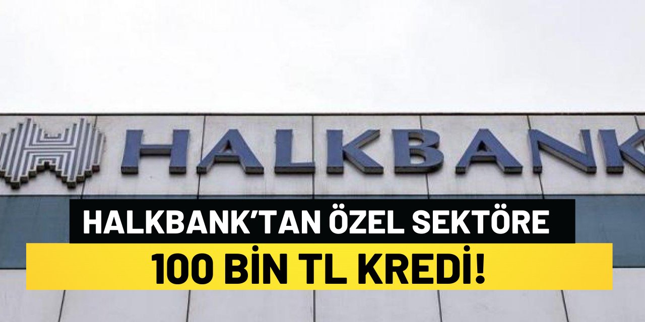 Halkbank’tan Özel Sektöre 100 Bin TL Kredi!