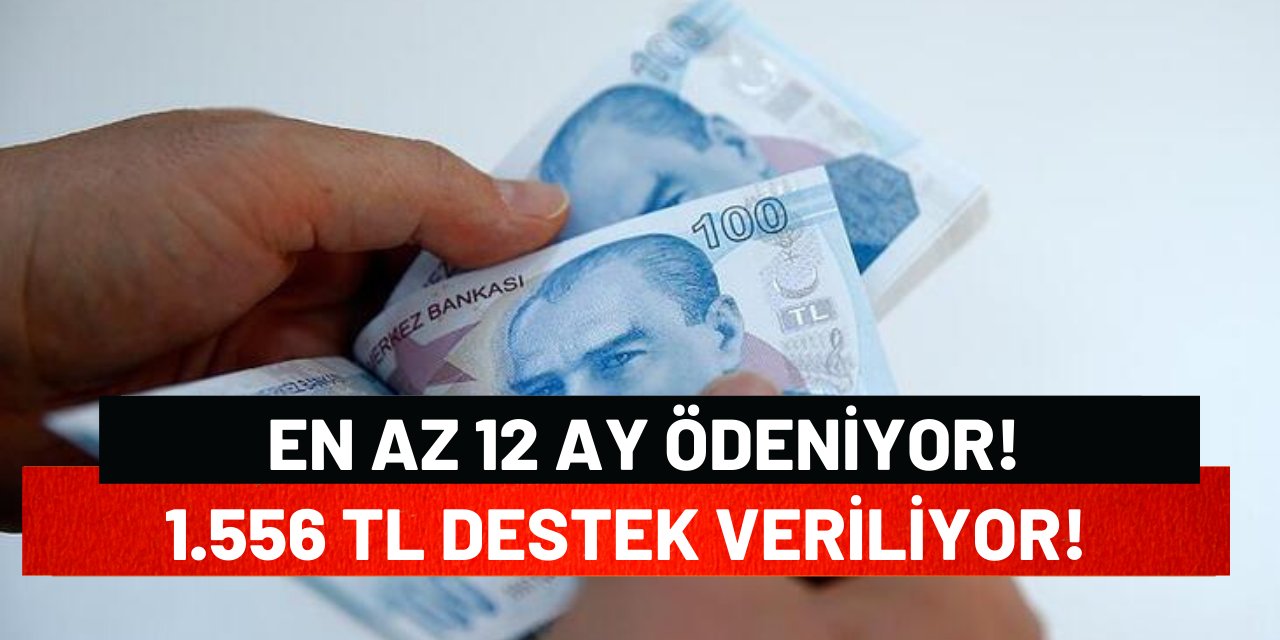 En Az 12 Ay Ödeniyor! 1.556 TL Destek Veriliyor!