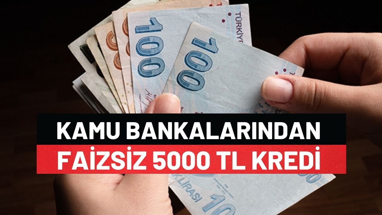 Kamu Bankalarından Faizsiz 5000 Tl Kredi