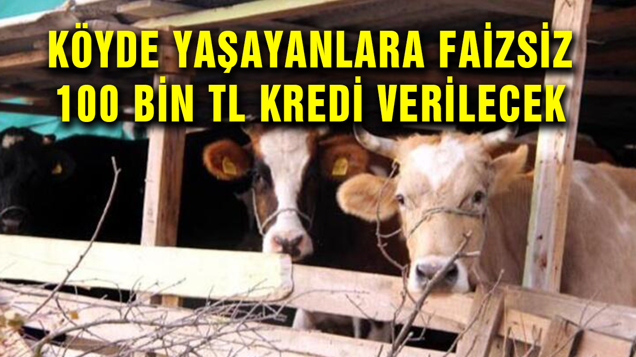 Köyde Yaşayanlara 100 bin tl faizsiz kredi veriliyor! Köyler tekrar hareketlendiriliyor.