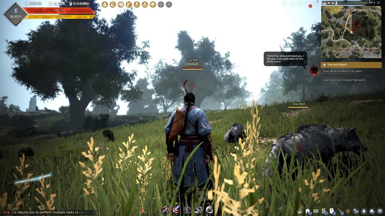 Black Desert Online şimdi Pearl Abyss tarafından yayınlandı
